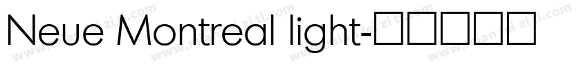 Neue Montreal light字体转换